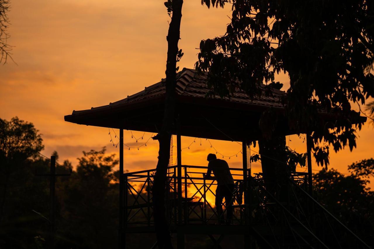 Zostel Coorg, Madikeri Hostel Екстериор снимка